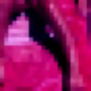 Profil de Sarah à Arpajon (45 ans) - rencontre libertine gratuit