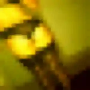 Contacte Ximena, 23 ans à Beaumont-sur-Oise en t'inscrivant