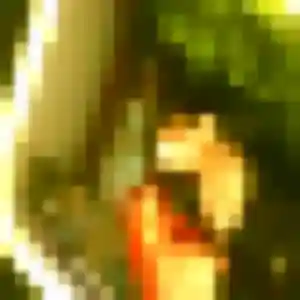 Photo perso de Sonia, 33 ans à Chartres - rencontre coquine