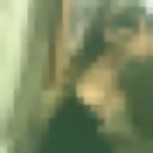 Profil de Erika à Coignières (42 ans) - rencontre libertine discret