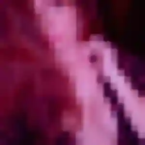 Photo privée de Tessa, 22 ans à Crécy-la-Chapelle - rencontre coquine