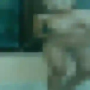 Découvre Ariane, 32 ans à Faremoutiers en privé