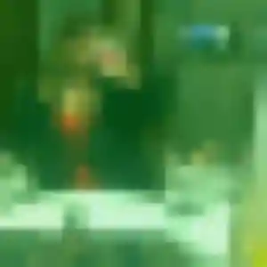 Fanny, 32 ans, cherche un rencontre libertine à Ferrières-en-Brie