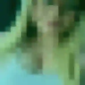 Margot, 44 ans, disponible à Feucherolles pour une rencontre coquine