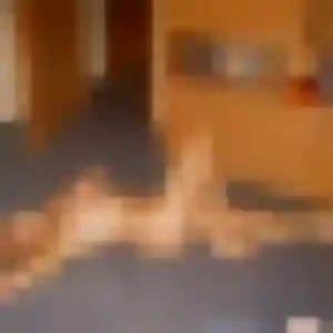 Photo de Solange à Gallardon (21 ans) - rencontre libertine discret
