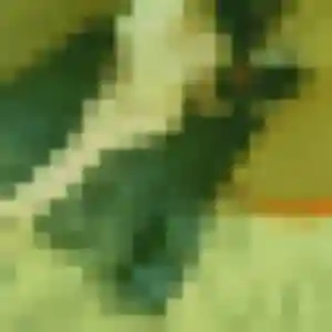 Sixtine, 22 ans, connectée à Grigny pour une rencontre coquine