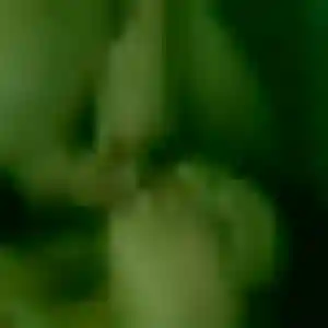 Sibylle, 30 ans, dispo pour rencontre libertine à Mantes-la-Ville