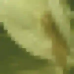 Marine, femme de 35 ans veut rencontre libertine à Montesson