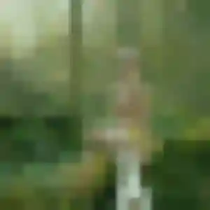 Photo de Vanessa à Taverny (42 ans) - rencontre libertine discret